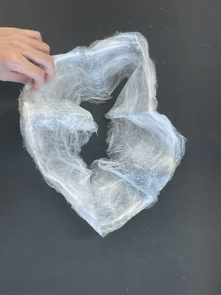 SILK-BioCraft Image 6